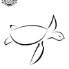 tatouage ephemere contour tortue ocean style realiste tatouage ephemere contour tortue ocean style realiste