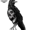 tatouage-corbeau-crane-temporaire-realiste-ephemere-amateurs-tatouages tatouage-corbeau-crane-temporaire-realiste-ephemere-amateurs-tatouages