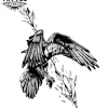 tatouage ephémère corbeau graphique design réaliste pour passionnés de tatouages tatouage ephémère corbeau graphique design réaliste pour passionnés de tatouages