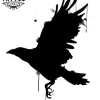 tatouage-ephemere-corbeau-noir-mystique tatouage-ephemere-corbeau-noir-mystique
