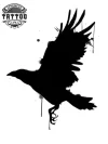 tatouage-ephemere-corbeau-noir-mystique tatouage-ephemere-corbeau-noir-mystique