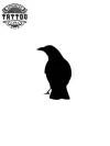 tatouage-ephemere-corbeau-petit-taille-discrete tatouage-ephemere-corbeau-petit-taille-discrete