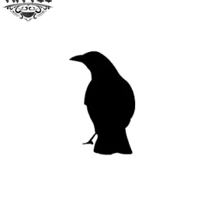 tatouage-ephemere-corbeau-petit-taille-discrete tatouage-ephemere-corbeau-petit-taille-discrete