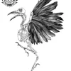 tatouage-ephemere-corbeau-squelette-design-original tatouage-ephemere-corbeau-squelette-design-original