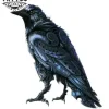 tatouage-corbeau-temporaire-steampunk-fantaisie