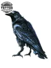 tatouage-corbeau-temporaire-steampunk-fantaisie