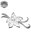 tatouage ephemere fleur vanille elegante tatoo fleur tatouage ephemere fleur vanille elegante tatoo fleur