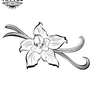 tatouage ephemere fleur vanille elegante tatoo fleur tatouage ephemere fleur vanille elegante tatoo fleur