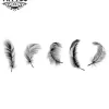 tatouage-plume-elegante-ephemere-pour-peau