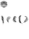 tatouage-plume-elegante-ephemere-pour-peau