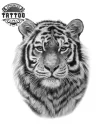 tatouage-tigre-sauvage-ephemere-ultra-realiste tatouage-tigre-sauvage-ephemere-ultra-realiste
