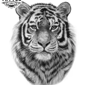 tatouage-tigre-sauvage-ephemere-ultra-realiste tatouage-tigre-sauvage-ephemere-ultra-realiste
