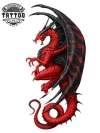 tatouage-ephemere-dragon-temporaire-pour-peau tatouage-ephemere-dragon-temporaire-pour-peau