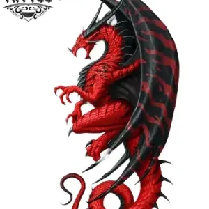 tatouage-ephemere-dragon-temporaire-pour-peau tatouage-ephemere-dragon-temporaire-pour-peau