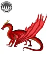 tatouage-dragon-ephemere-heroic-fantasy-realiste-durable