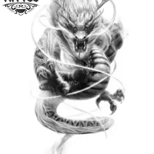tatouage-ephemere-dragon-noir-blanc-temporaire tatouage-ephemere-dragon-noir-blanc-temporaire