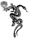 tatouage-ephemere-dragon-et-serpent-mystique