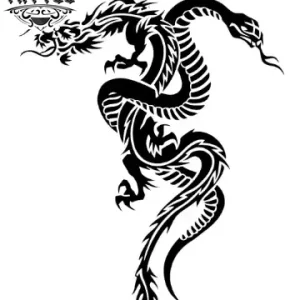 tatouage-ephemere-dragon-et-serpent-mystique tatouage-ephemere-dragon-et-serpent-mystique