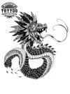 tatouage-ephemere-dragon-serpent-fantaisie-image-alt tatouage-ephemere-dragon-serpent-fantaisie-image-alt