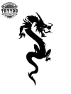 tatouage-ephemere-dragon-simple-temporaires-mystique tatouage-ephemere-dragon-simple-temporaires-mystique