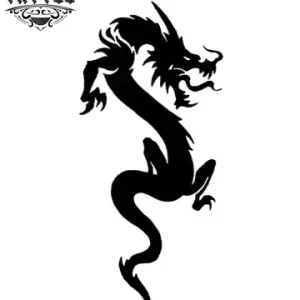 tatouage-ephemere-dragon-simple-temporaires-mystique tatouage-ephemere-dragon-simple-temporaires-mystique