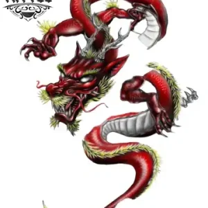 tatouage-ephemere-dragon-realiste-sortant-peau tatouage-ephemere-dragon-realiste-sortant-peau