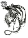 tatouage-dragon-ephemere-terrifiant-durable-et-realiste tatouage-dragon-ephemere-terrifiant-durable-et-realiste