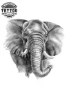 tatouage-ephemere-elephant-design-temporaire-elegant-artistique tatouage-ephemere-elephant-design-temporaire-elegant-artistique