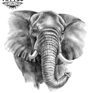 tatouage-ephemere-elephant-design-temporaire-elegant-artistique tatouage-ephemere-elephant-design-temporaire-elegant-artistique
