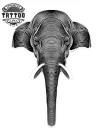 tatouage-ephemere-elephant-graphique-design-artistique