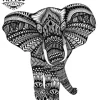 tatouage-elephant-ephemere-elegant-short-style-unique-tendance tatouage-elephant-ephemere-elegant-short-style-unique-tendance