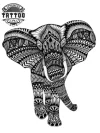 tatouage-elephant-ephemere-elegant-short-style-unique-tendance tatouage-elephant-ephemere-elegant-short-style-unique-tendance