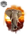 tatouage-elephant-ephemere-court-design-tendance-original tatouage-elephant-ephemere-court-design-tendance-original