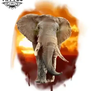 tatouage-ephemere-elephant-realiste-design-elegant-temporaire tatouage-ephemere-elephant-realiste-design-elegant-temporaire