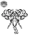 tatouage-elephant-ephemere-elegant-sur-short-homme-femme