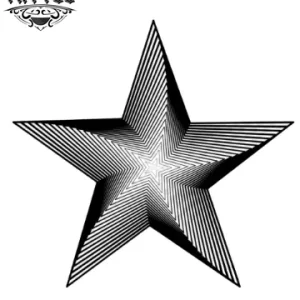 tatouage-ephemere-design-etoile-3d-longue-tenue-tatouage-etoile tatouage-ephemere-design-etoile-3d-longue-tenue-tatouage-etoile