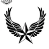 tatouage-ephemere-ailes-ange-etoile-design-temporaire tatouage-ephemere-ailes-ange-etoile-design-temporaire