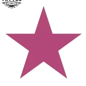 tatouage ephémère étoile jojo waterproof tatouage etoile tatouage ephémère étoile jojo waterproof tatouage etoile