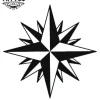 tatouage-etoile-ephemere-decoration-temporaire-peau