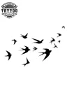 tatouage-ephemere-famille-hirondelle-design-temporaire tatouage-ephemere-famille-hirondelle-design-temporaire