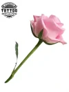 tatouage ephemere fleur 3D realiste effet naturel peau tatouage ephemere fleur 3D realiste effet naturel peau