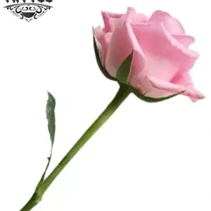 tatouage ephemere fleur 3D realiste effet naturel peau tatouage ephemere fleur 3D realiste effet naturel peau
