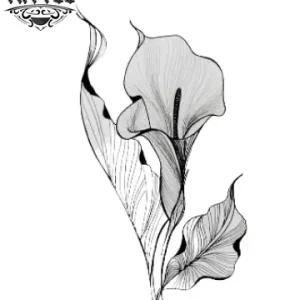 tatouage-fleur-arum-ephemere-elegant-durable tatouage-fleur-arum-ephemere-elegant-durable