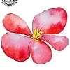 tatouage-fleur-begonia-temporaire-resistant-elegant tatouage-fleur-begonia-temporaire-resistant-elegant