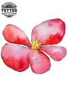 tatouage-fleur-begonia-temporaire-resistant-elegant tatouage-fleur-begonia-temporaire-resistant-elegant