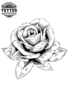 tatouage-fleur-tatouage-ephemere-fleur-blanche-delicate-design-floral-tendance tatouage-fleur-tatouage-ephemere-fleur-blanche-delicate-design-floral-tendance
