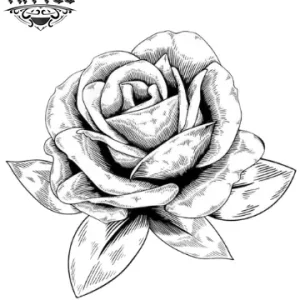 tatouage-fleur-tatouage-ephemere-fleur-blanche-delicate-design-floral-tendance tatouage-fleur-tatouage-ephemere-fleur-blanche-delicate-design-floral-tendance