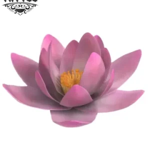 tatouage FLEUR tatouage éphémère fleur de lotus 3D réaliste tatouage FLEUR tatouage éphémère fleur de lotus 3D réaliste