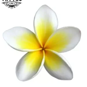 tatouage-fleur-frangipanier-ephemere-design-unique tatouage-fleur-frangipanier-ephemere-design-unique