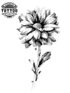 tatouage temporaire fleur gerbera design tendance floral sur peau tatouage temporaire fleur gerbera design tendance floral sur peau